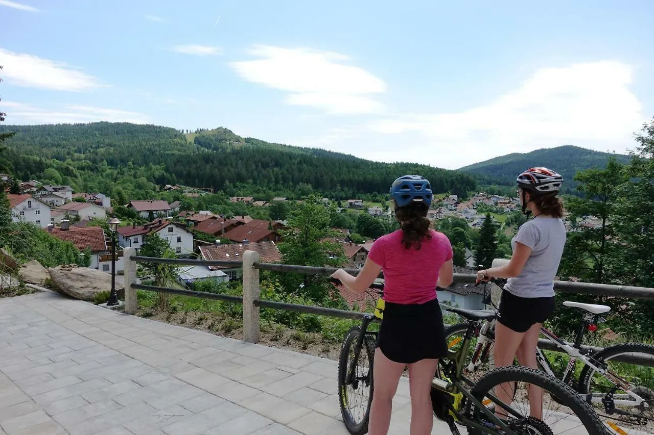 Montara Suites Bodenmais 0*,  Germany